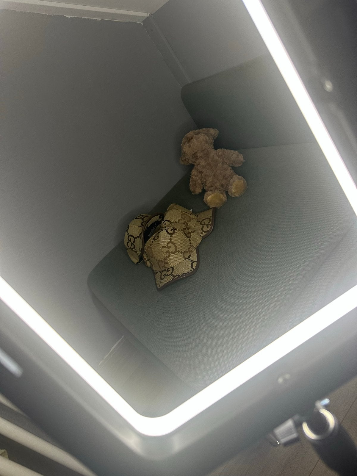 Gucci Pet met GG-monogram, Ophalen of Verzenden, Zo goed als nieuw, One size fits all, Pet