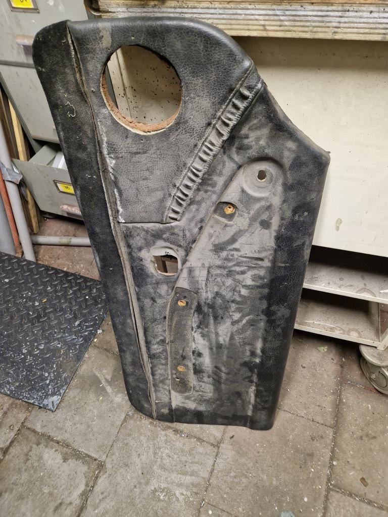 Deurpaneel triumph stag, Ophalen of Verzenden, Gebruikt, Universele onderdelen