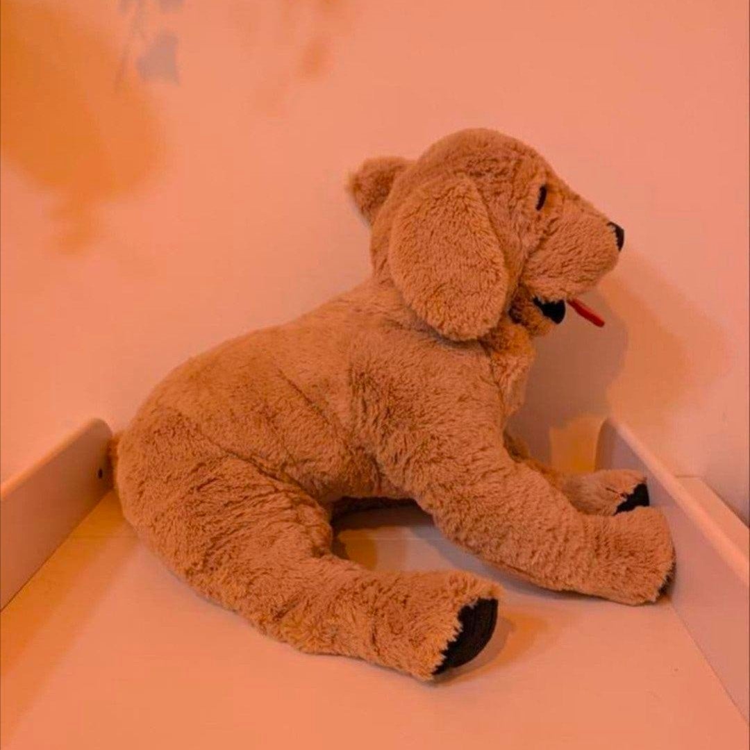 golden retriever 3.5 kg verzwaringsknuffel nieuw 70 cm, Kinderen en Baby's, LincieZ, Overige typen, Nieuw, Ophalen of Verzenden
