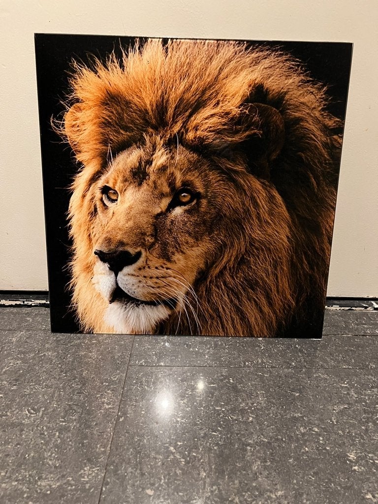 Set van 3 glas schilderijen: leeuw, tijger & olifant, Antiek en Kunst, Ophalen of Verzenden, Dieren, Print, Overige materialen