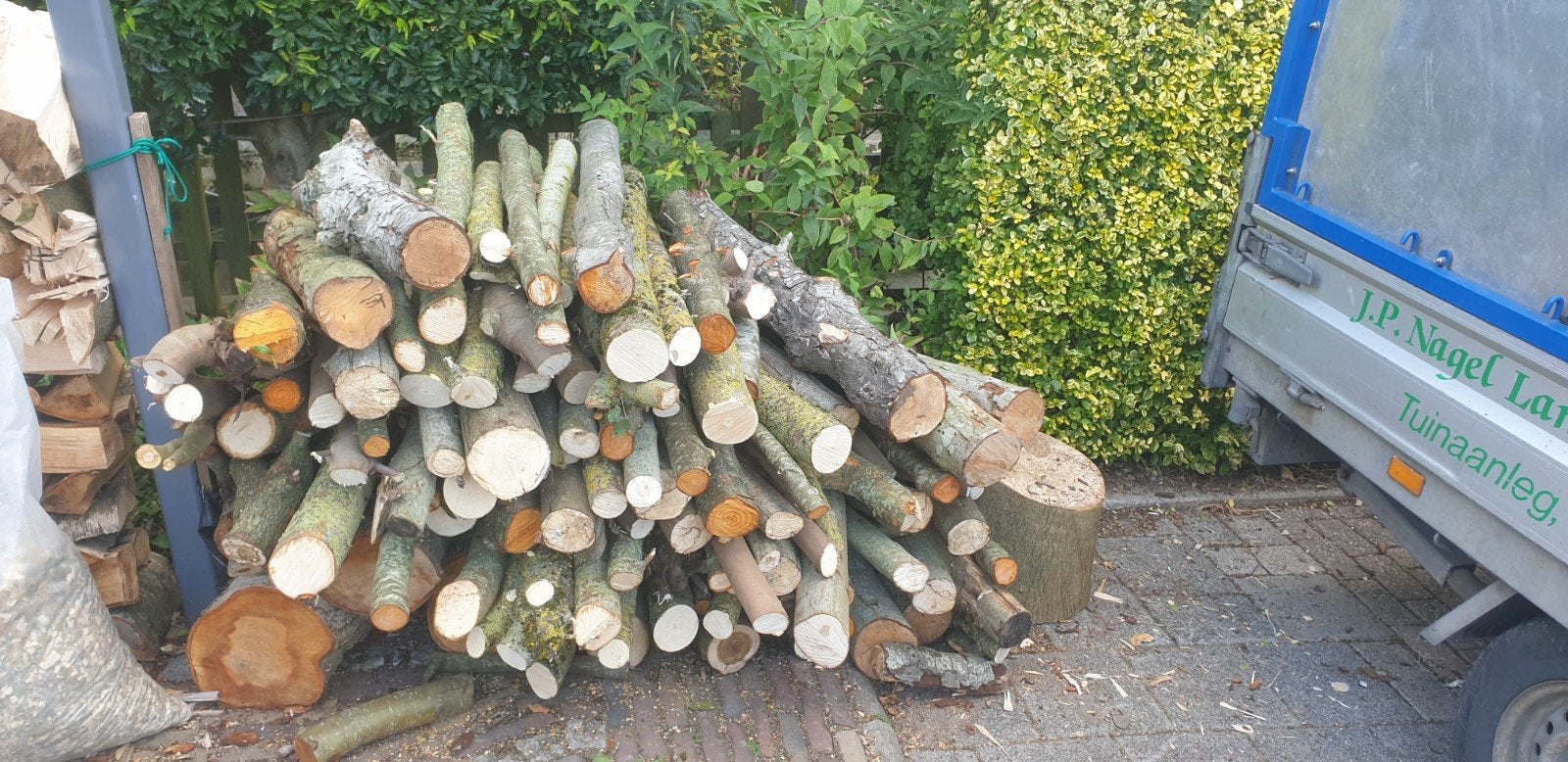 stamhout. esdoorn berk, Tuin en Terras, Minder dan 3 m³, Ophalen