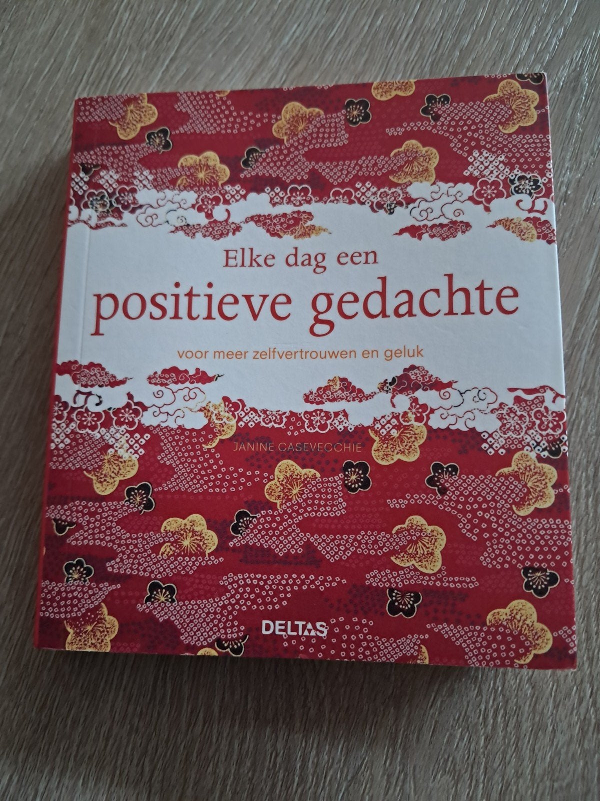 Elke dag een positieve gedachte, Persoonlijkheidsleer, Ophalen of Verzenden, Zo goed als nieuw, Janine Casevecchie