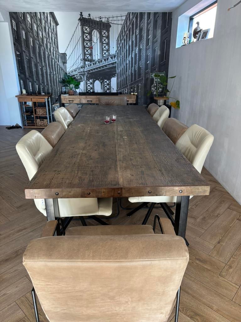Eettafel 300x100 met 10 stoelen, Huis en Inrichting, Tafels | Eettafels, Zo goed als nieuw, 200 cm of meer, 200 cm of meer, Vijf personen of meer