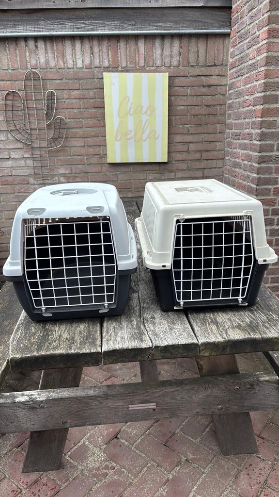 Dieren transportboxen, Ophalen