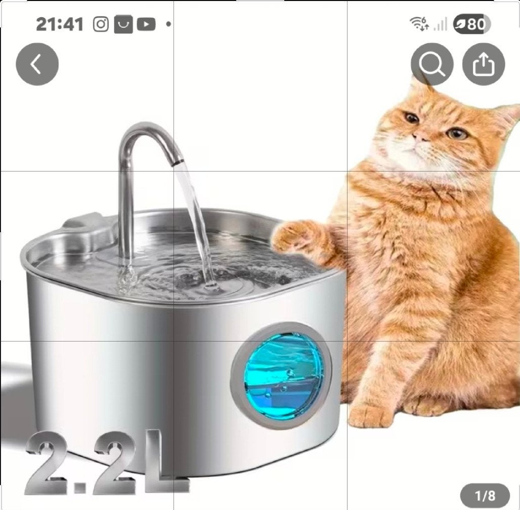 drink bak voor katten, Dieren en Toebehoren, Ophalen of Verzenden, Automatisch, Nieuw