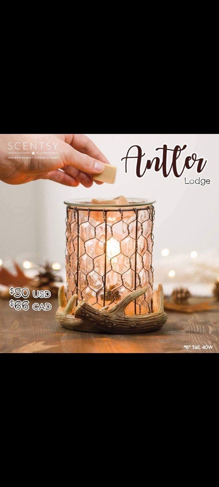 Scentsy Antlor Warmer, Geurverspreider, Nieuw, Ophalen of Verzenden, Glas