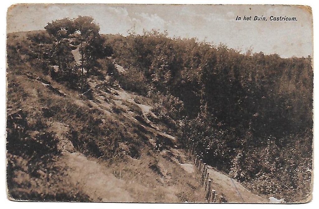 Castricum in het duin Oude Gelopen Ansichtkaart (B1450 ), Ophalen of Verzenden, 1960 tot 1980, Gelopen, Noord-Holland