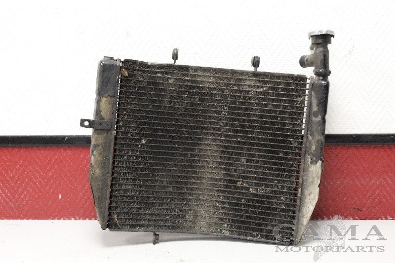 Radiateur Triumph Daytona 675 2006-2008 (VIN: 381274) 2006, Cama Motorparts, Gebruikt, Info@cama-motorparts.nl, P.J. Troelstraweg 8, MAASSLUIS 3144 CX, Zuid Holland, , Nederland