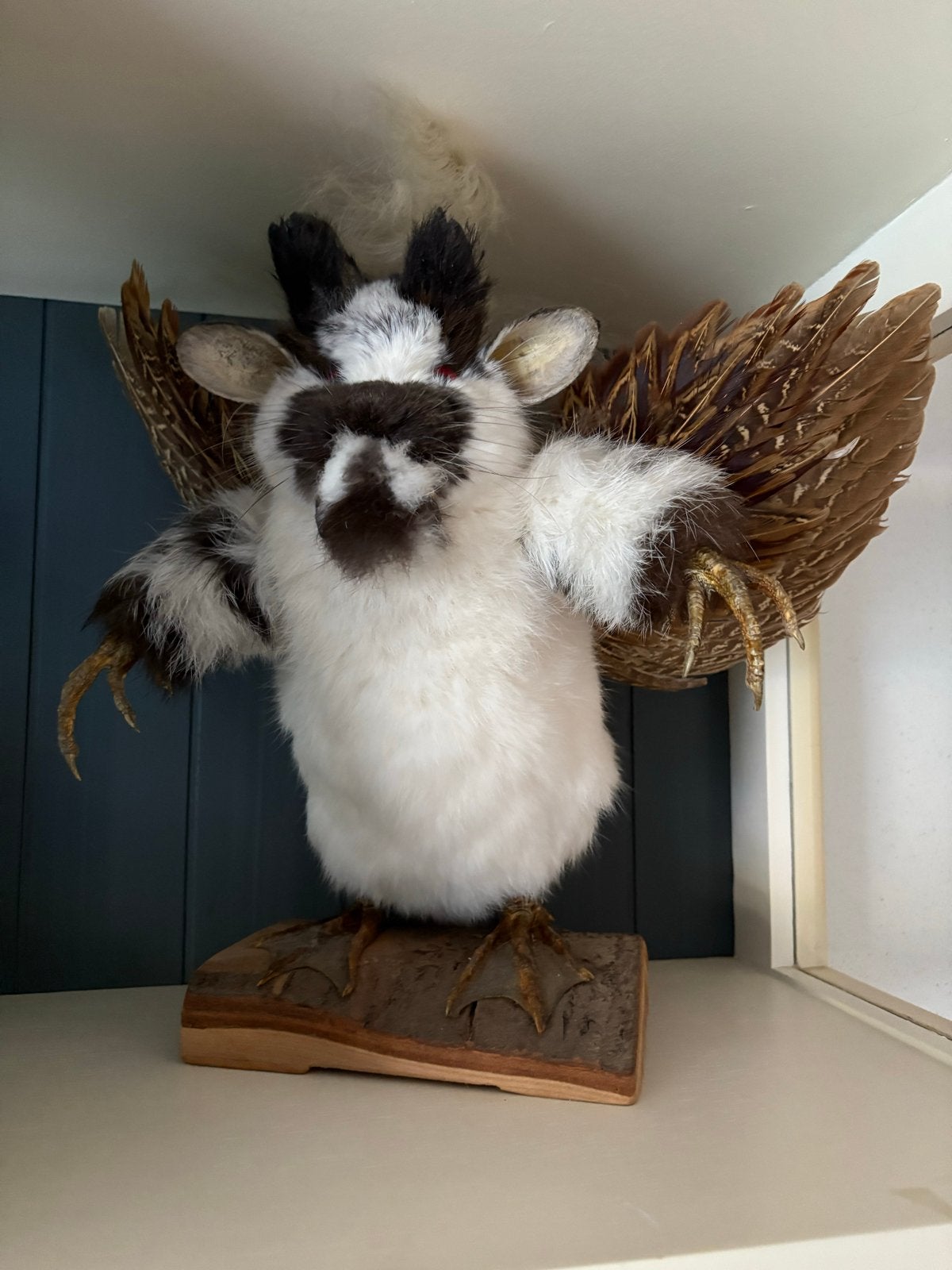 Unieke Taxidermie Creatie: Fantasiewezen (Wolpertinger), Ophalen of Verzenden, Zo goed als nieuw, Overige soorten, Overige typen