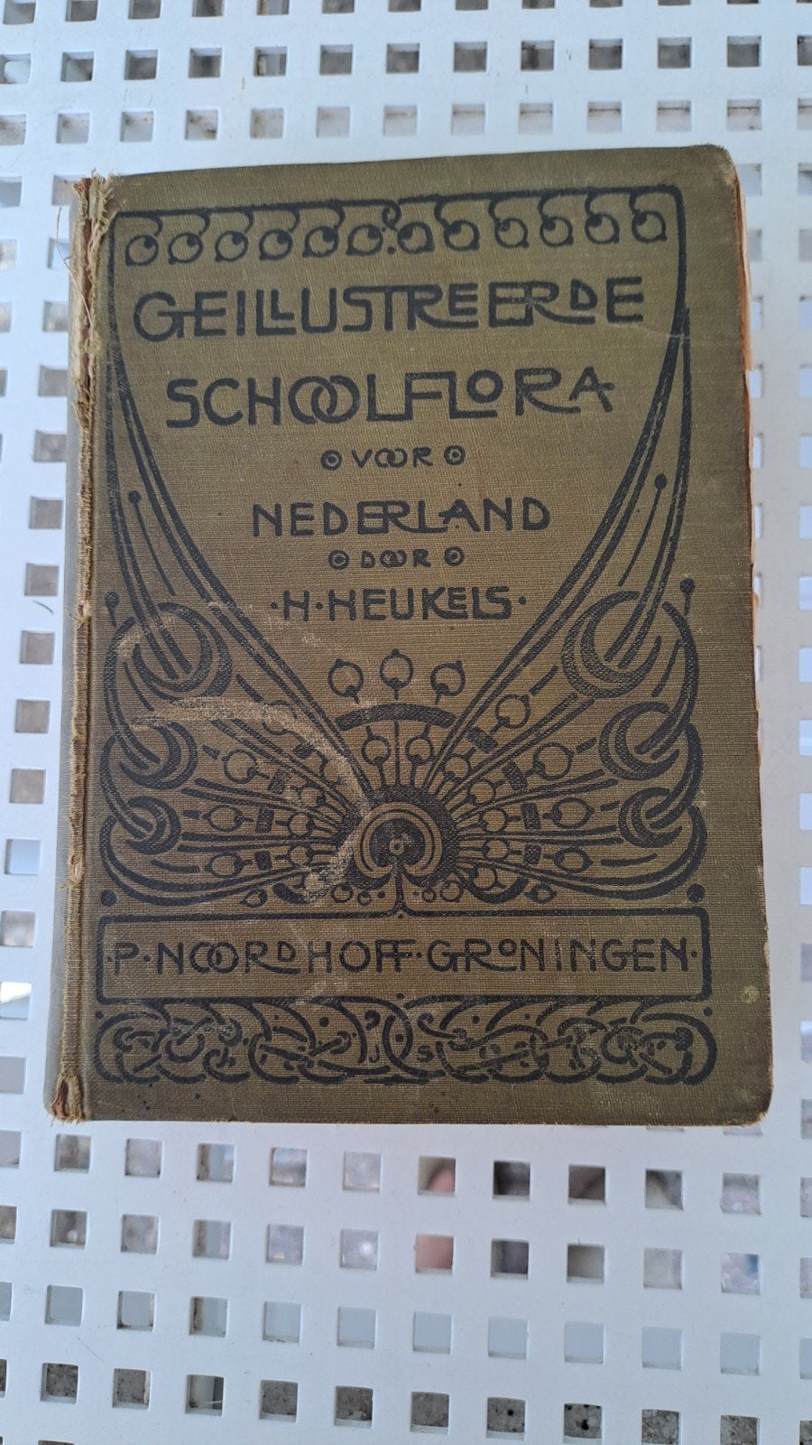 Geïllustreerde Schoolflora voor Nederland /  H.Heukels, Ophalen of Verzenden, H. Heukels