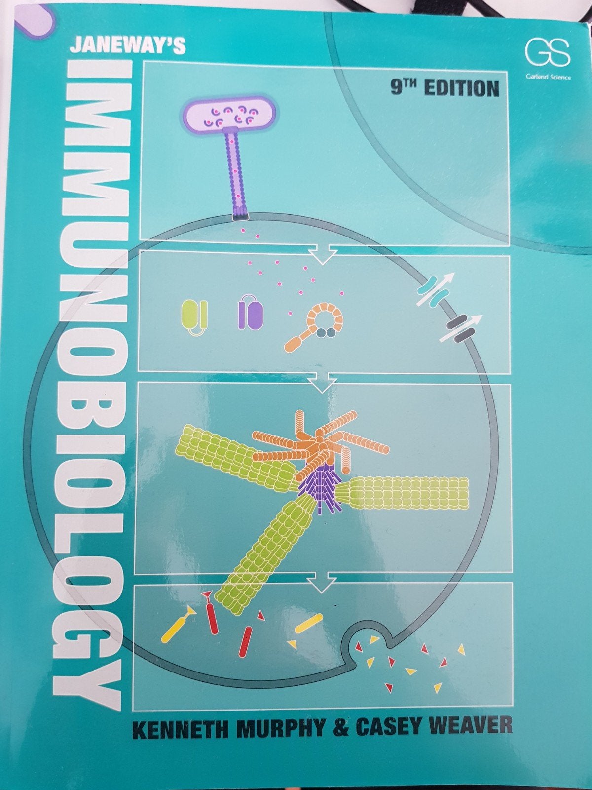 Janeway's Immunobiology 9e - Kenneth Murphy & Casey Weaver, Kenneth Murphy & Casey Weaver, Ophalen of Verzenden, Beta, WO