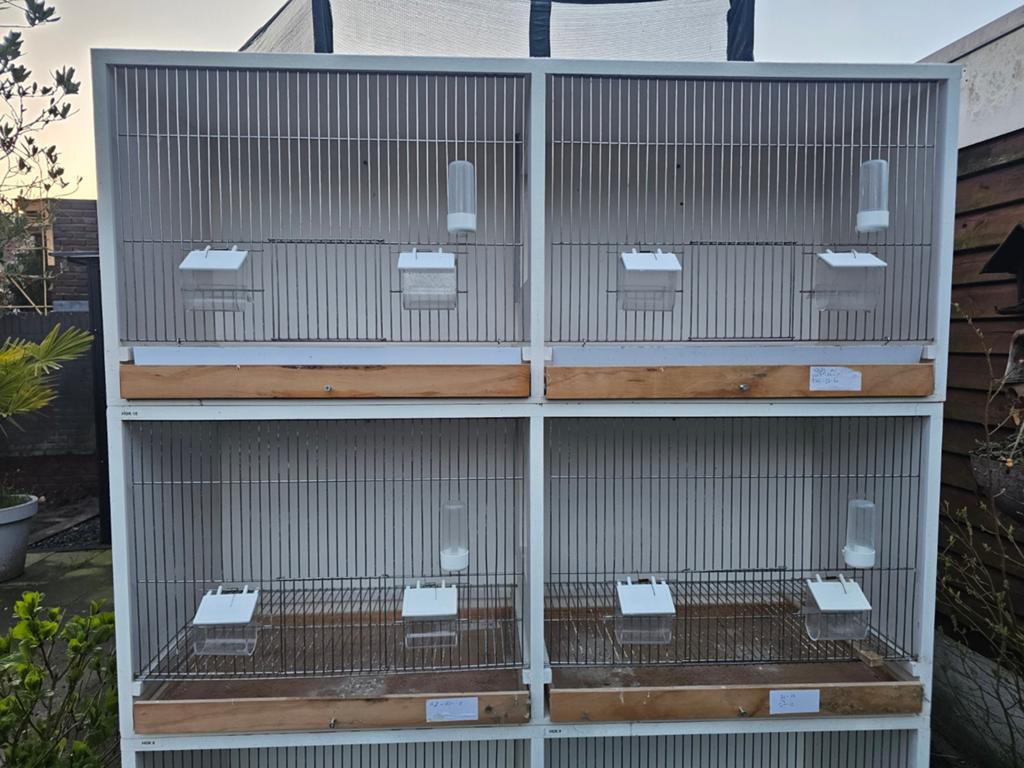 3 x 2 delige broedkooien te koop met onderkast, Dieren en Toebehoren, Ophalen, Hout, Broedkooi of Kweekkooi