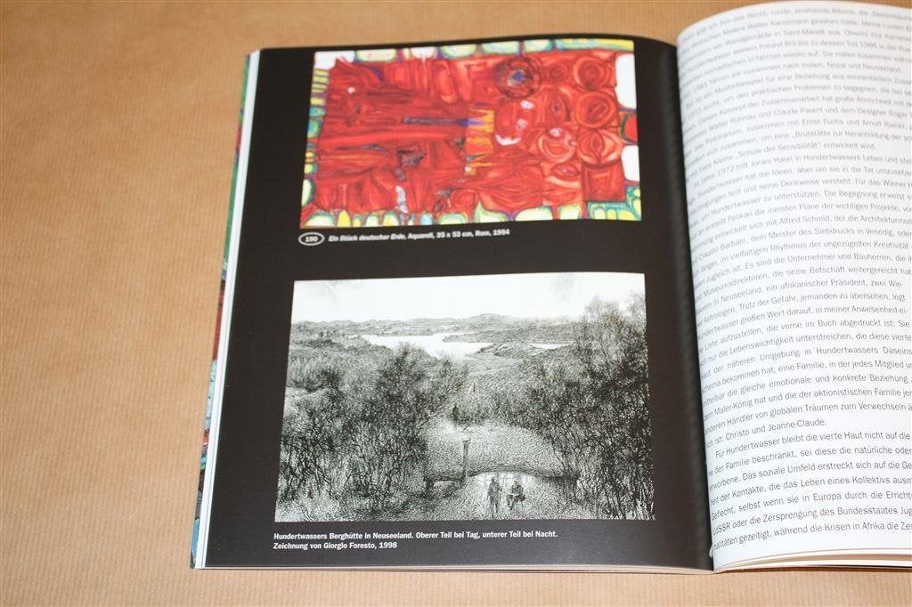 Hundertwasser. Die Macht der Kunst., Boeken, Ophalen of Verzenden, Gelezen