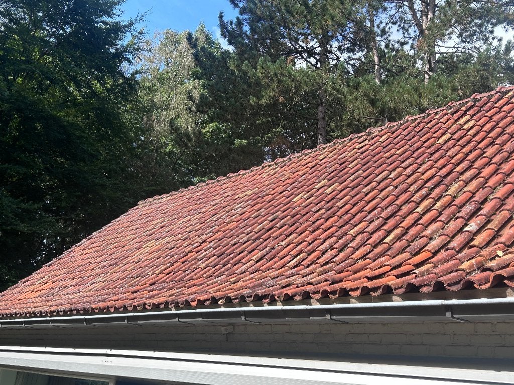 Oude Romaanse dakpannen, Ophalen, Gebruikt, Steen of Klei, 15 m² of meer