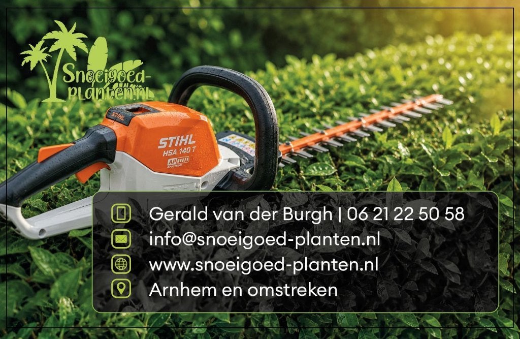 Tuinman, hovenier voor met name snoeien, maaien, Arnhem, Tuinonderhoud of Snoeiwerk
