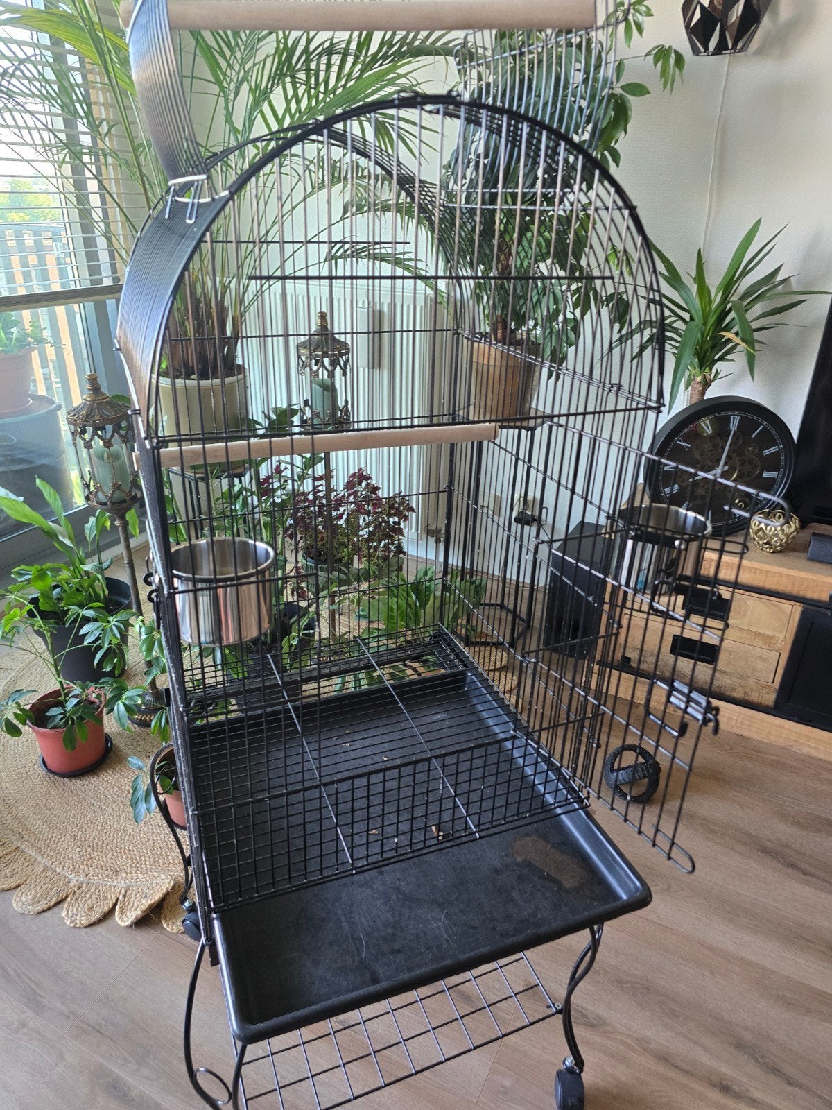 Mooie, schone vogelkooi, Ophalen