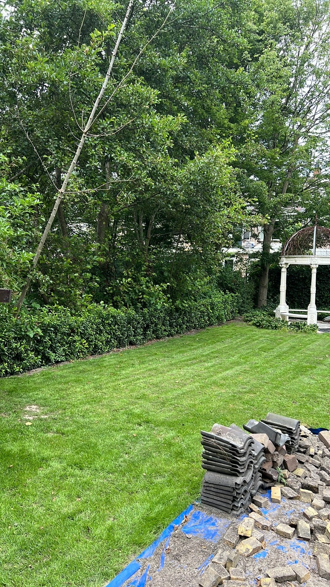 Oude dakpannem, Tuin en Terras, Planten | Bomen, Ophalen, Halfschaduw, Overige soorten