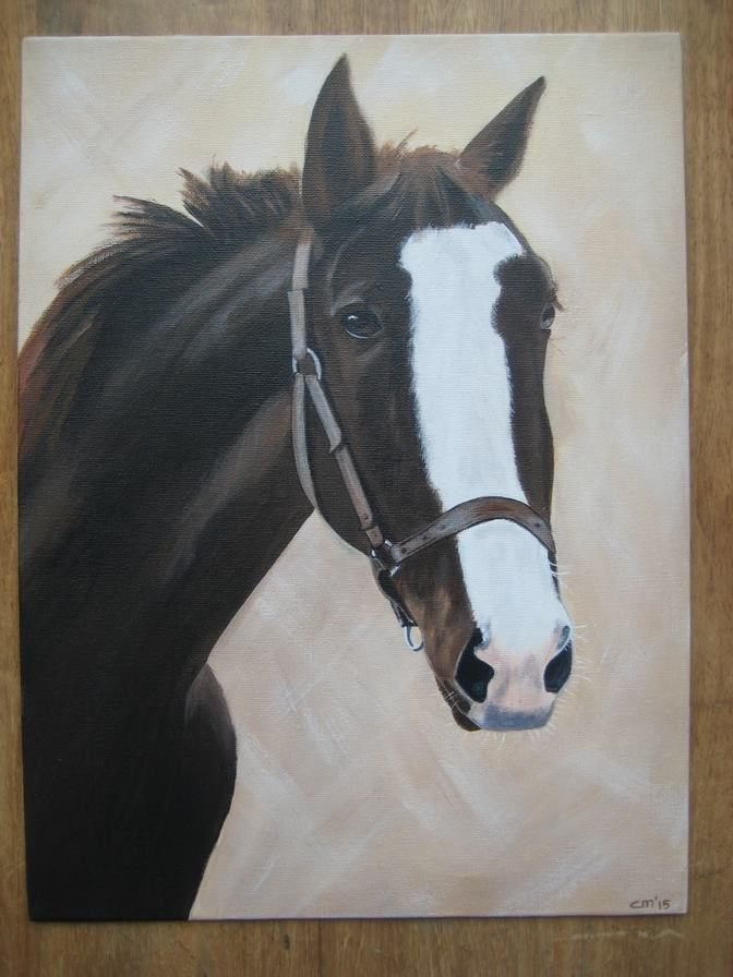 Handgeschilderd schilderij: Bruin Paard 30 x 40 cm, Ophalen, Minder dan 50 cm, Oorspronkelijke maker, Nieuw