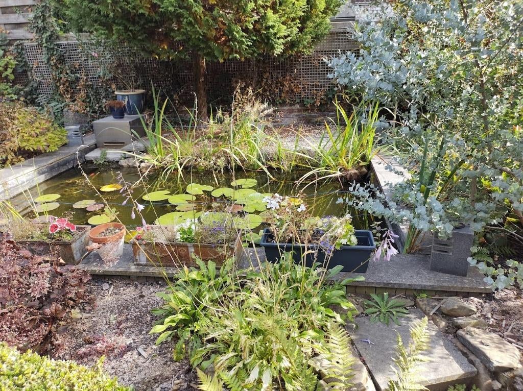 vijverzeil, planten, vissen, pomp , beschermkap, vissen., Tuin en Terras, Vijvers, Ophalen, Gebruikt