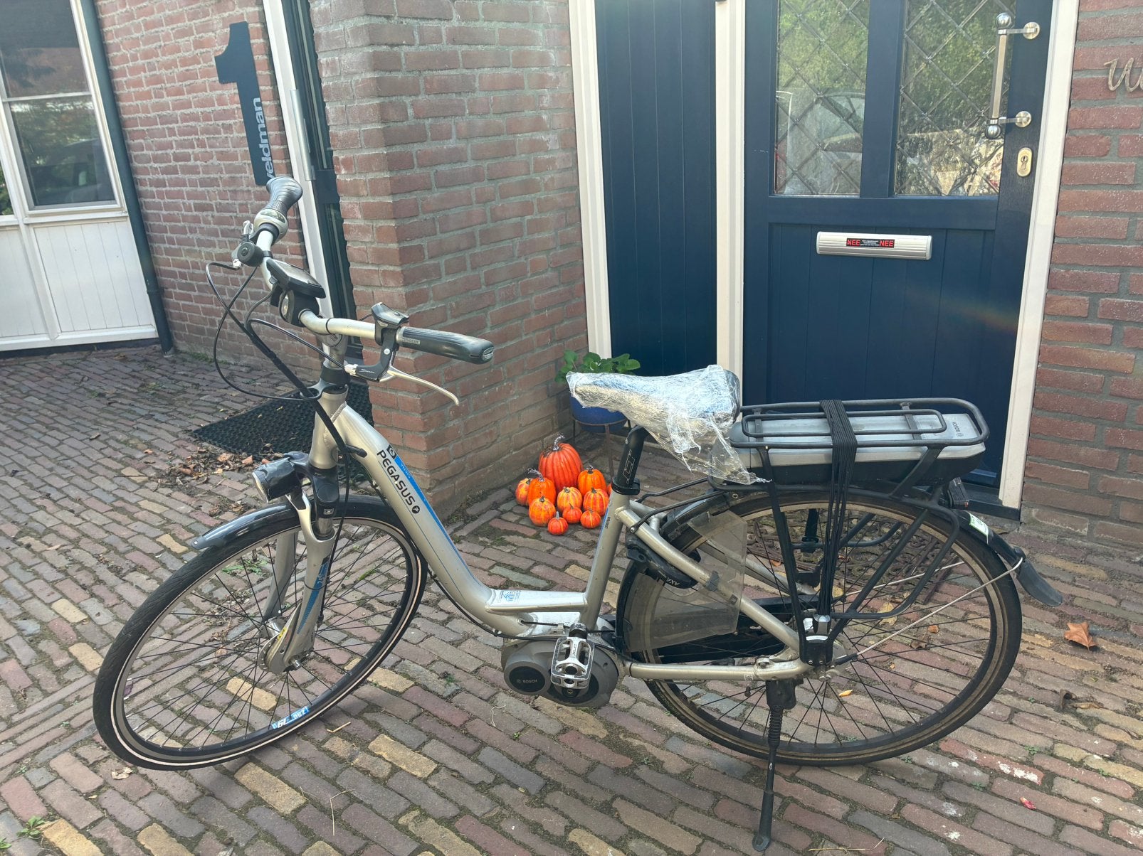 Pegasus Siena E7F Damesf Mt 45 – Bosch Mid-motor (11.269 km), Gebruikt, Minder dan 47 cm, 50 km per accu of meer, Ophalen