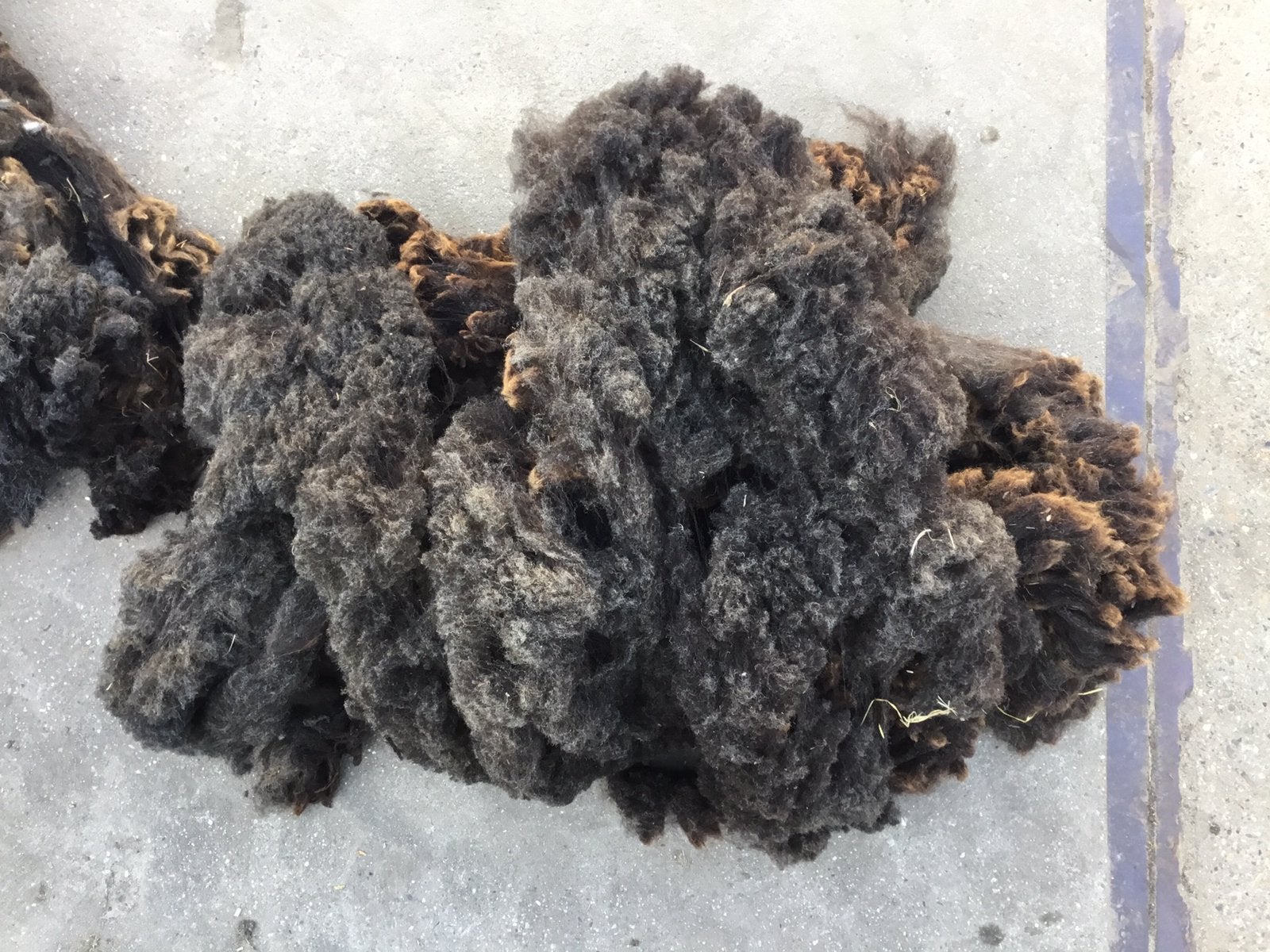 Schapenwol, ongewassen, diverse rassen, Ophalen of Verzenden, Spinwol