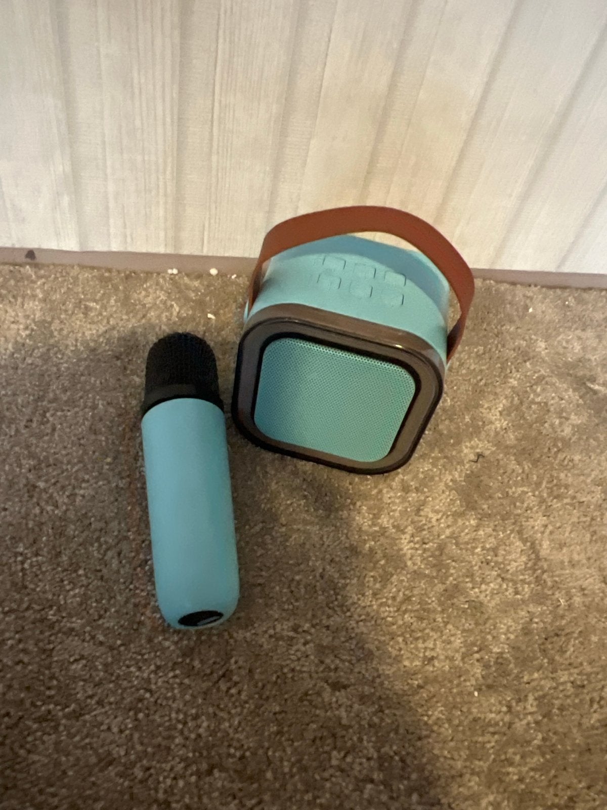 Karaoke set - Draagbare speaker met microfoon (excl. oplader, Overige merken, Ophalen of Verzenden, Zo goed als nieuw, Draagbare speaker