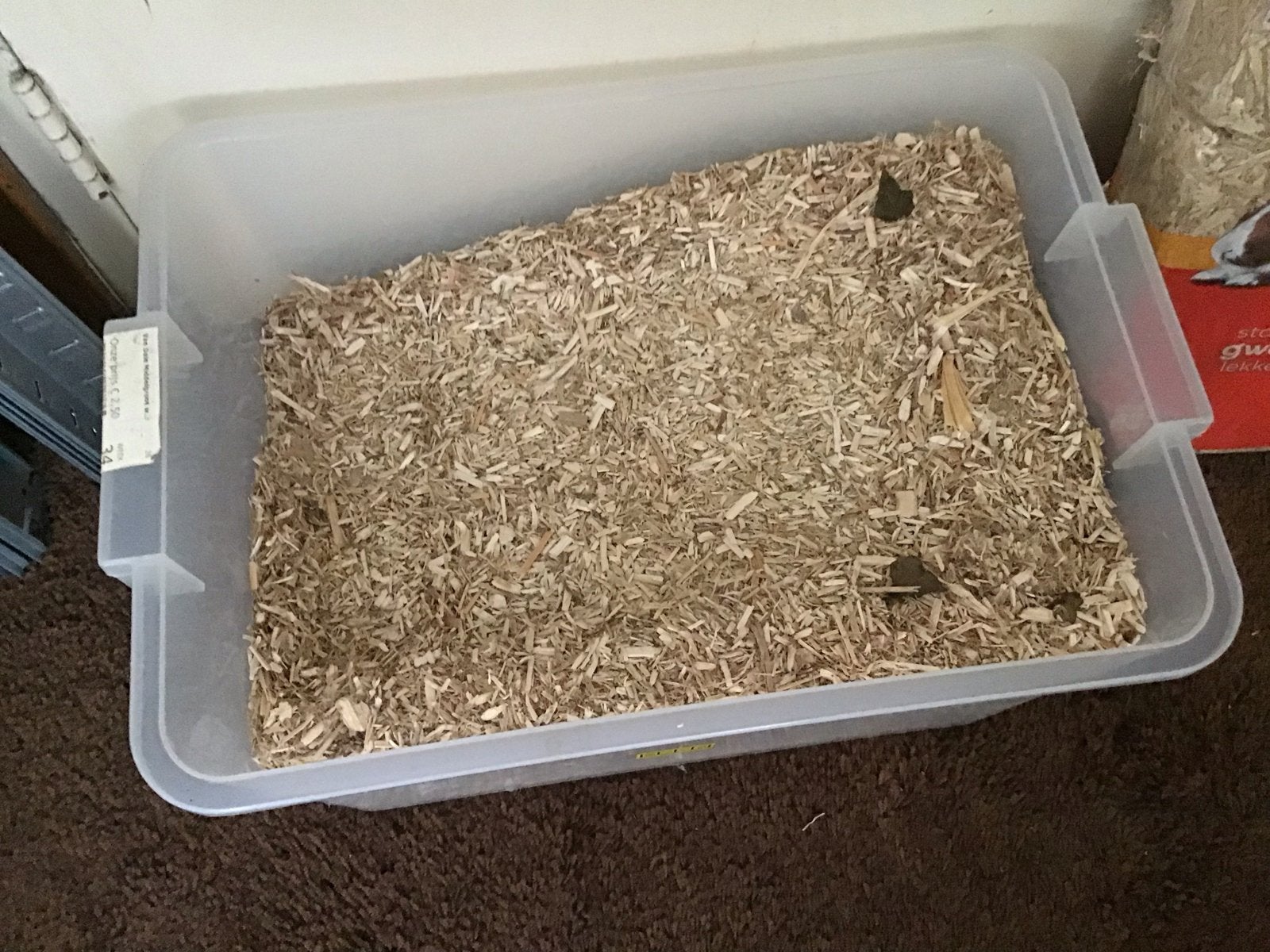 Hamsterkooi, Dieren en Toebehoren, Ophalen