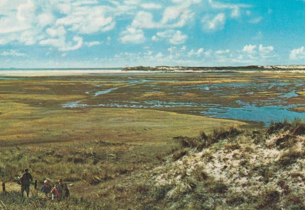TEXEL De Slufter (Gekartelde Rand), Verzenden, 1960 tot 1980, Gelopen, Waddeneilanden