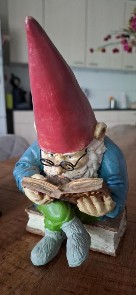 Rien Poortvliet David de Kabouter beeldje lezend, Ophalen, Gebruikt, Meerkleurig, Overige stijlen
