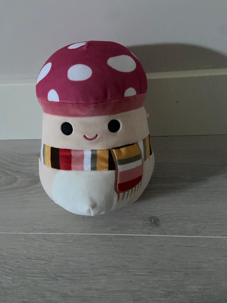 Squishmallow Paddenstoel Herfst Editie, Overige typen, Ophalen of Verzenden, Meerkleurig, Klein (minder dan 20 cm)