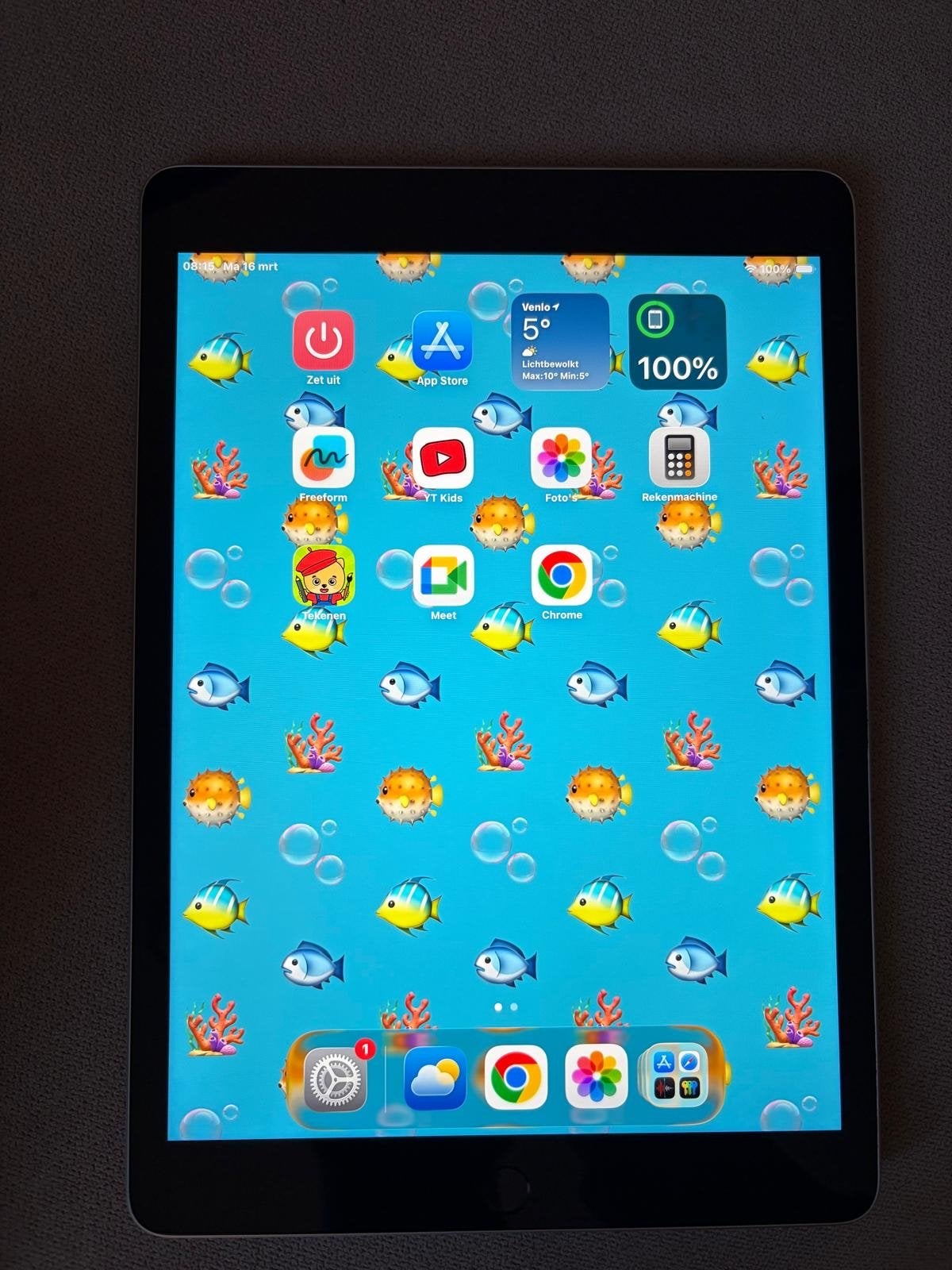 iPad 9e generatie 64GB - zilver, Computers en Software, Apple iPads, Apple iPad, Zo goed als nieuw, Ophalen, 10 inch