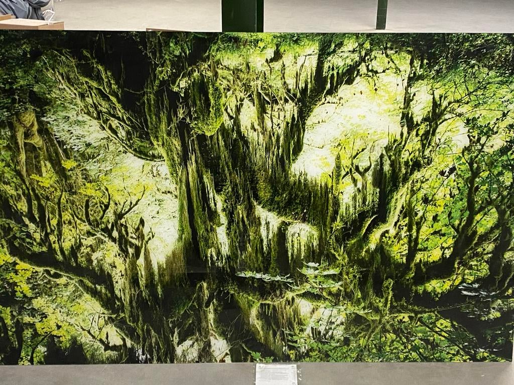 Cobra Art Plexiglas Kunstwerk: Mysterieus Bos, Ophalen of Verzenden