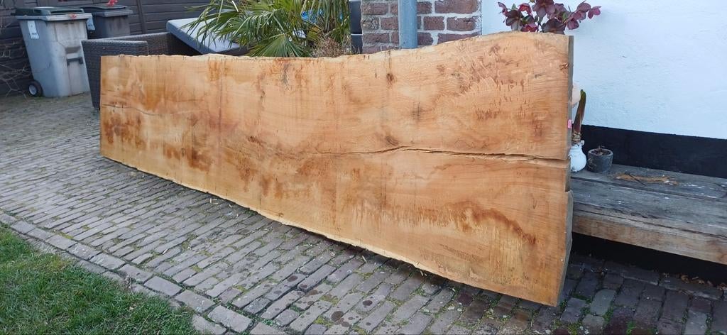 Droge eiken schaaldelen, Doe-het-zelf en Verbouw, Hout en Planken, Ophalen, 25 tot 50 mm, Eiken, Nieuw