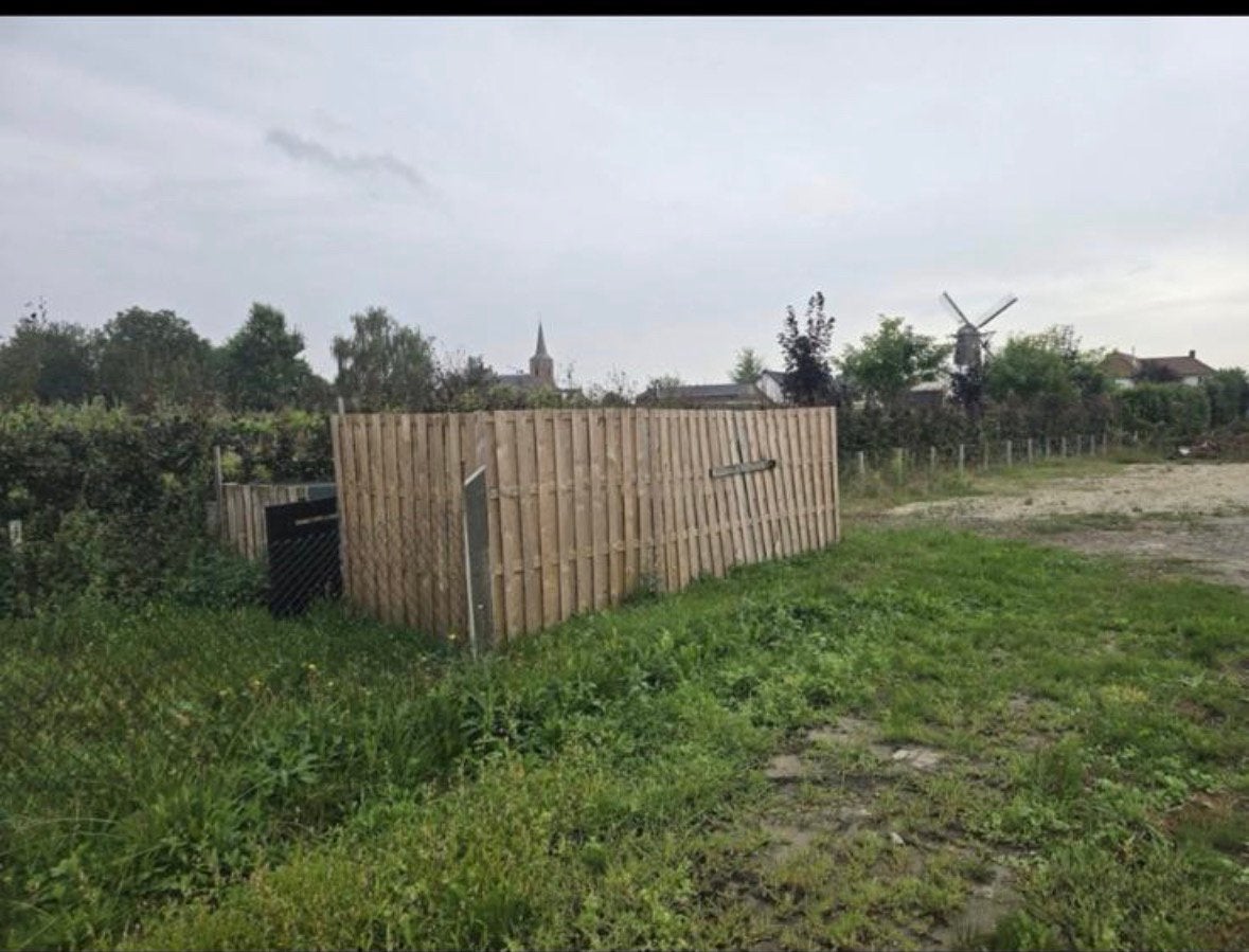 Schuttingdelen 6 stuks, Minder dan 3 meter, Ophalen of Verzenden, Hout, 1 tot 2 meter