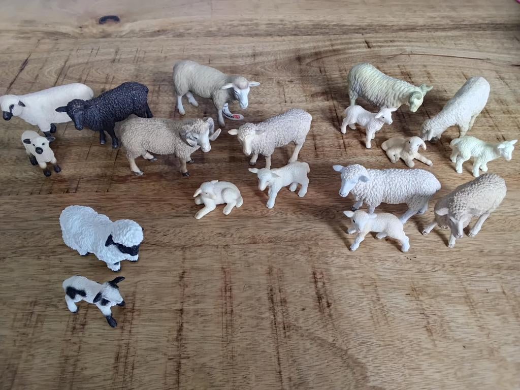 Schleich schaap, schapen, Ophalen of Verzenden, Zo goed als nieuw, Paard, Beeldje of Figuurtje