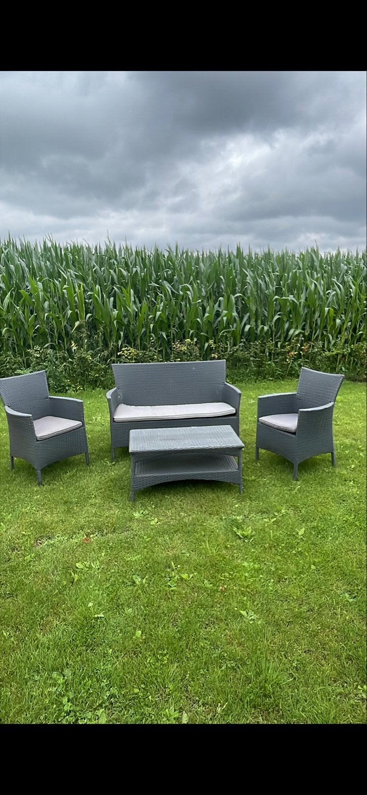 Grijze Wicker Loungeset met Kussens, Ophalen, 4 zitplaatsen, Gebruikt, Loungeset
