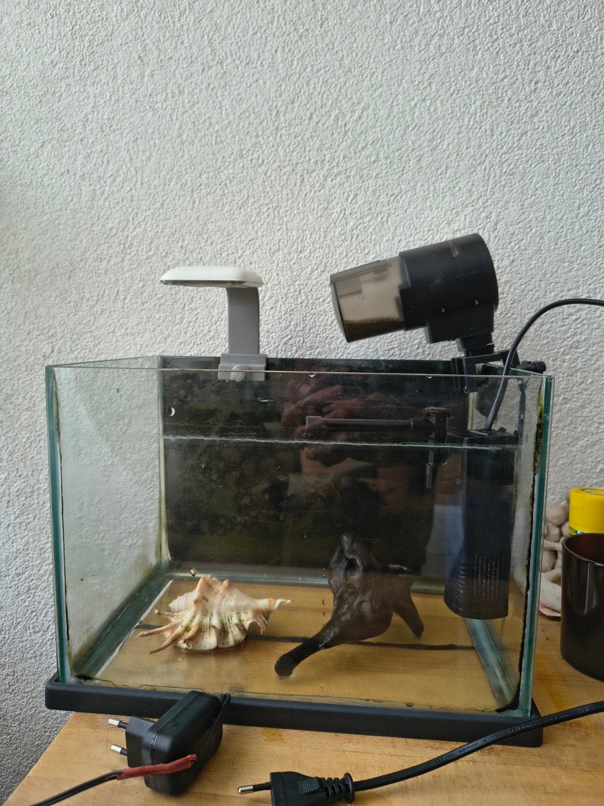 Aquarium, Ophalen of Verzenden
