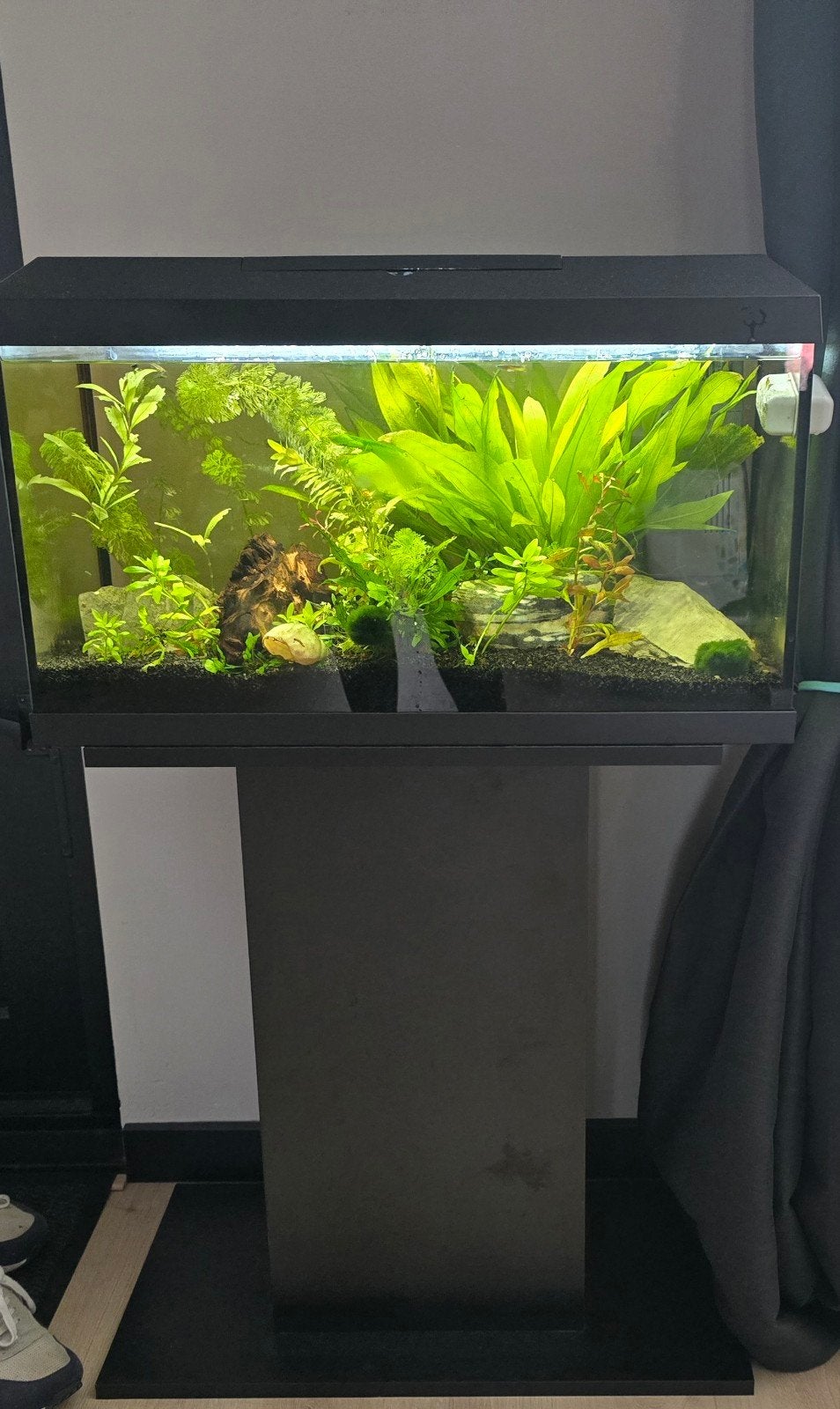 Juwel Primo 60 Liter Inclusief onderkast., Dieren en Toebehoren, Ophalen, Zo goed als nieuw, Gevuld zoetwateraquarium