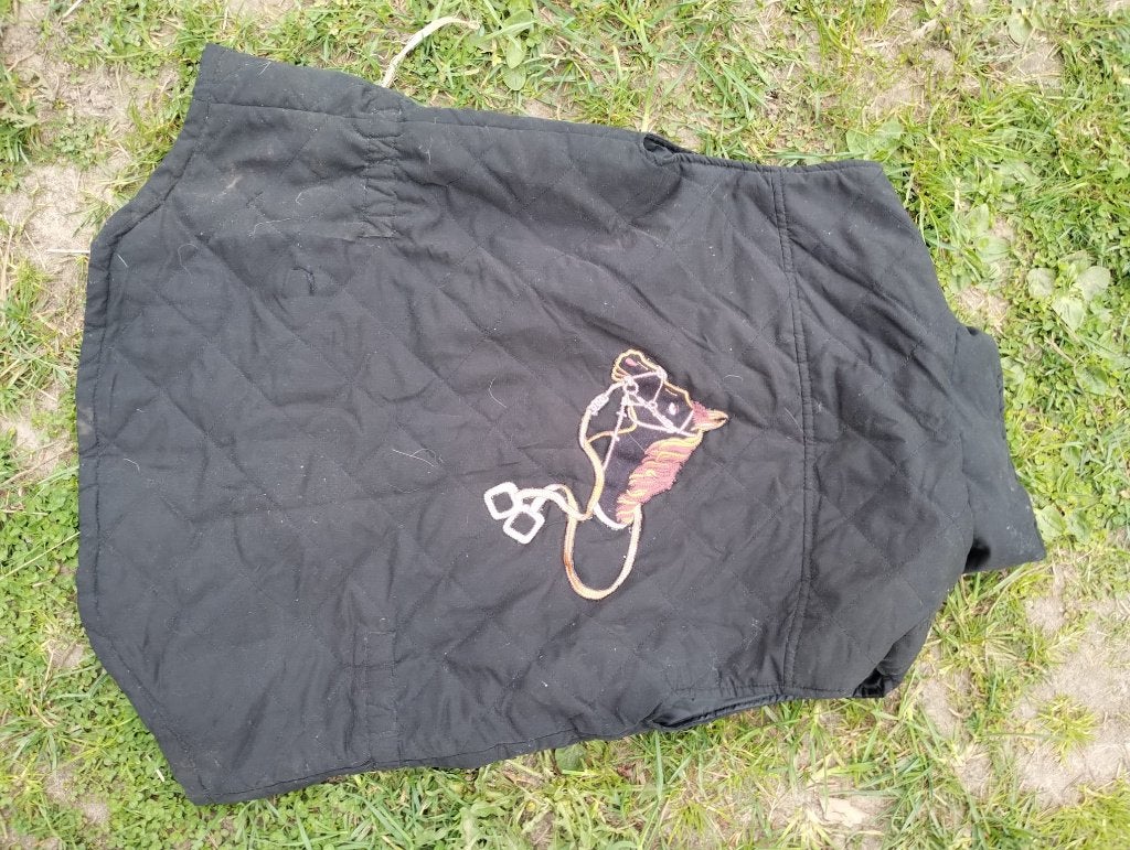 Bodywarmer paardrijden Maat S / 36 / 176, Ophalen of Verzenden, Gebruikt, Overige soorten, Bovenkleding