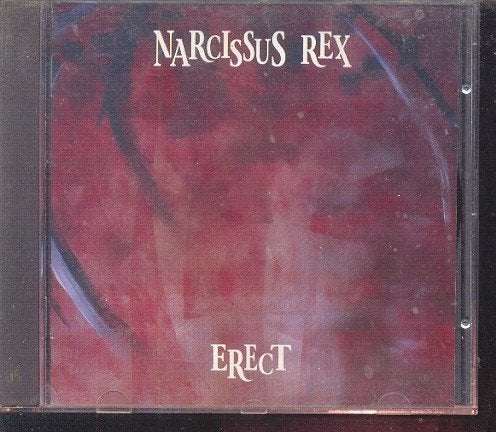 narcissus rex   erect   uit nederland, Ophalen of Verzenden, Zo goed als nieuw, Poprock