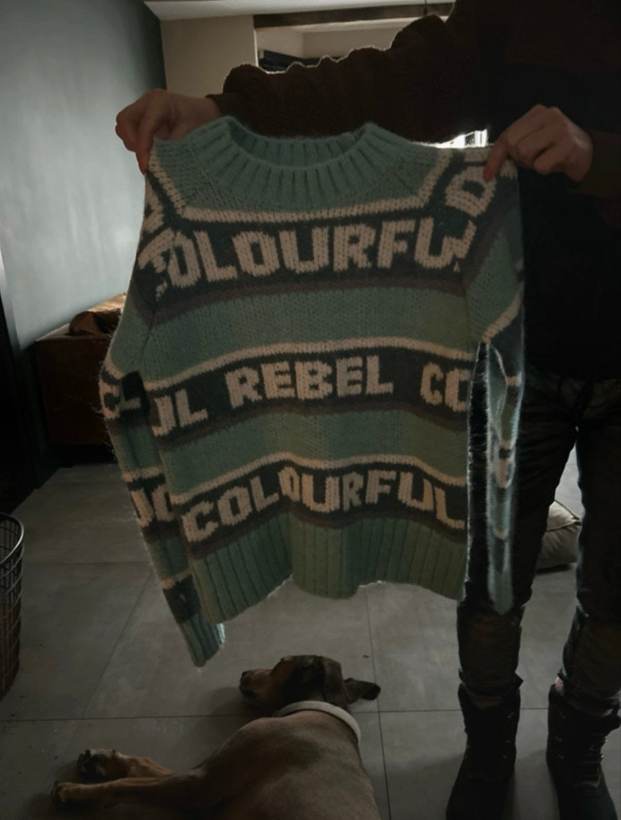 Colourful Rebel trui - Zo goed als nieuw, Ophalen of Verzenden, Zo goed als nieuw, Maat 34 (XS) of kleiner, Meerkleurig