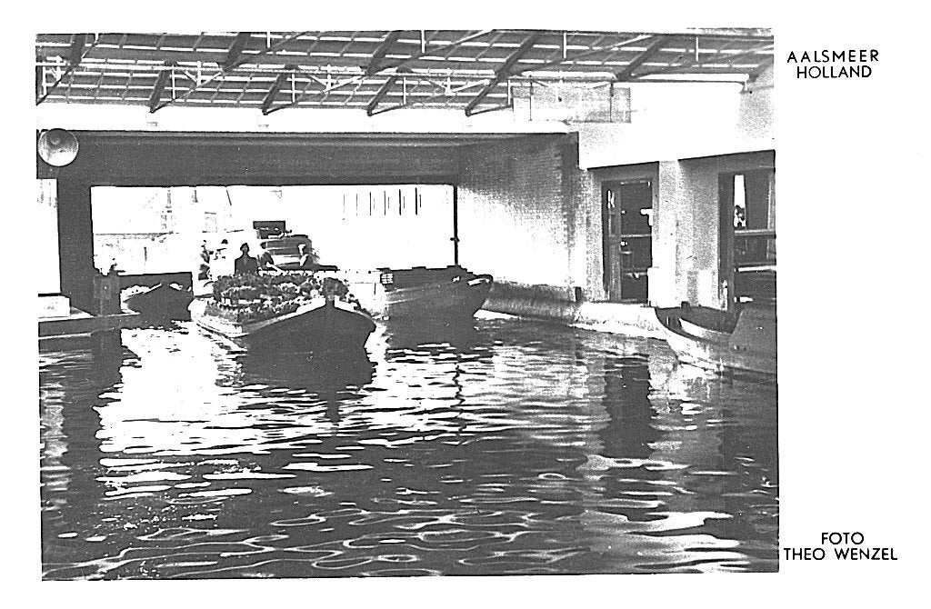 700296	Aalsmeer	1955 NH  Veiling	 	Gelopen met postzegel, Ophalen of Verzenden, 1940 tot 1960, Gelopen, Noord-Holland