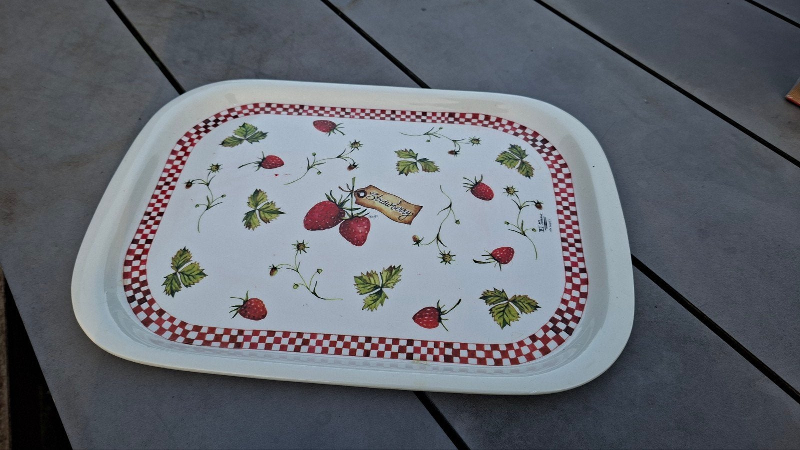 Dienblad Strawberry Jet Ter Steege 41 x 30 cm, Ophalen of Verzenden, Gebruikt, Rechthoekig, Kunststof