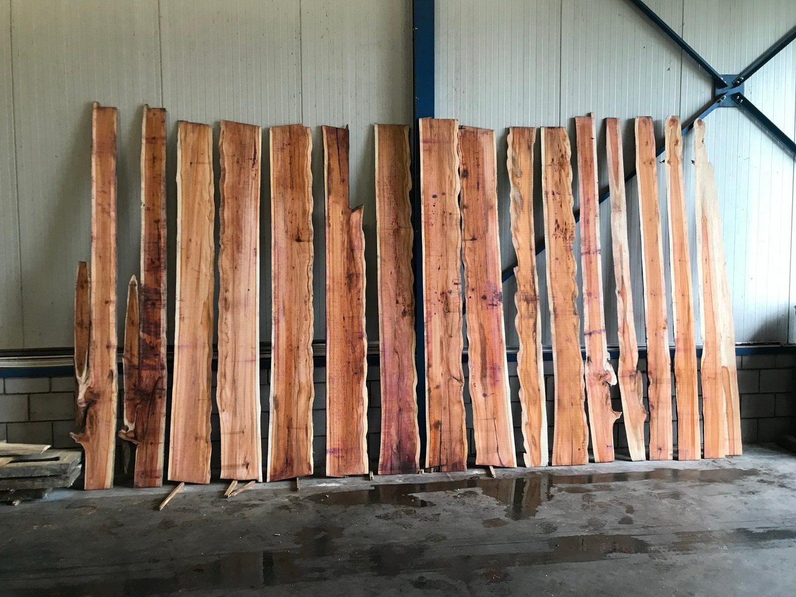 Taxus schaaldelen en stammen, Doe-het-zelf en Verbouw, Hout en Planken, Ophalen, Gebruikt, Minder dan 25 mm, Overige typen