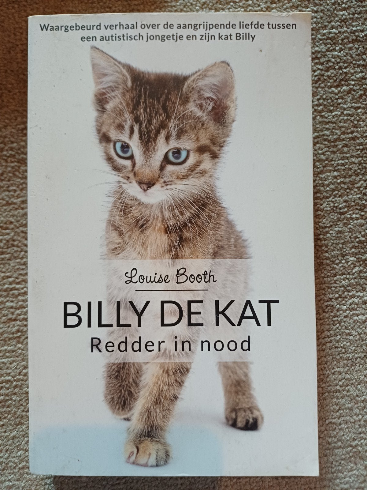 Louise Booth - Billy de kat, Ophalen of Verzenden, Zo goed als nieuw, Louise Booth