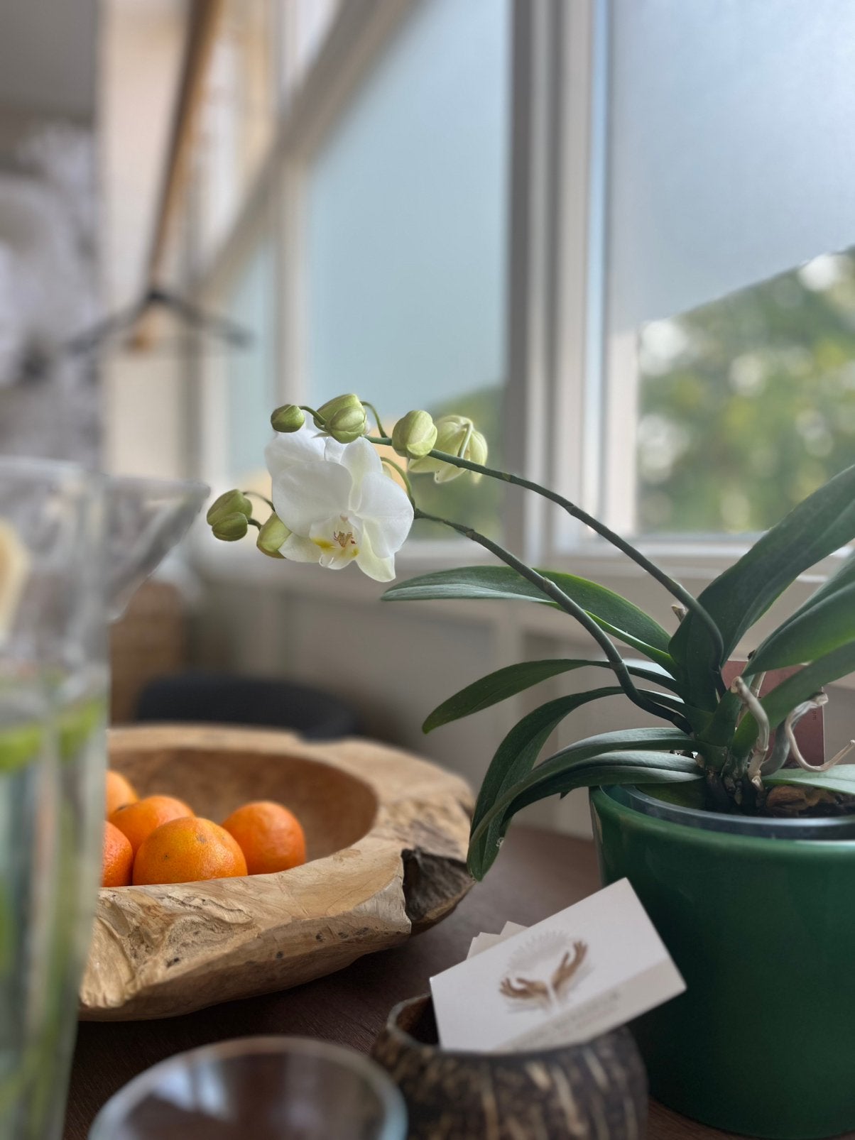 Massage en Workshops: een kadootje voor jezelf, Diensten en Vakmensen, Welzijn | Masseurs en Massagesalons, Ontspanningsmassage
