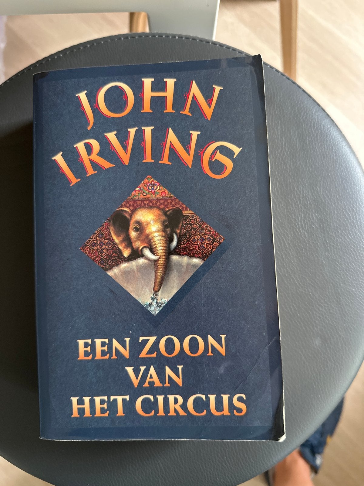 Een Zoon van het Circus - John Irving, Ophalen of Verzenden, Gelezen, Nederland