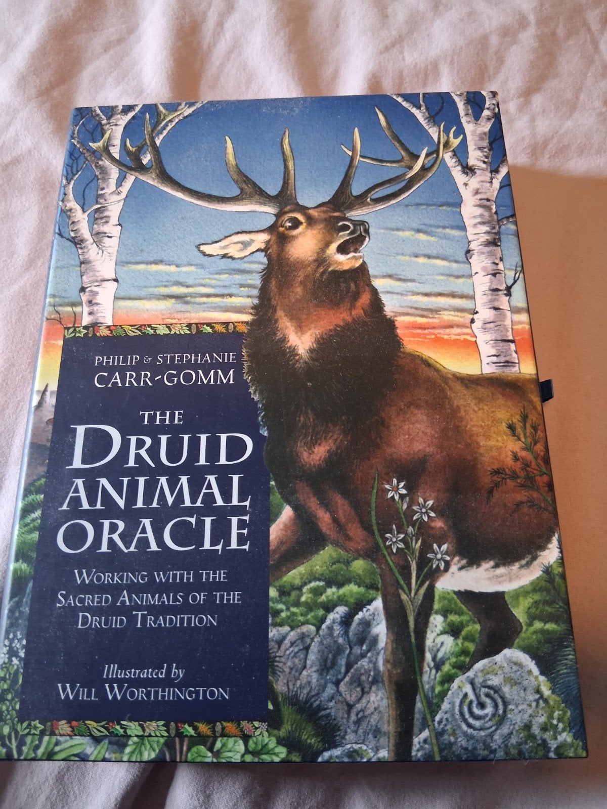 The Druid Animal Oracle: Kaartenset met Boek, Boeken, Tarot of Kaarten leggen, Overige typen, Ophalen of Verzenden, Zo goed als nieuw
