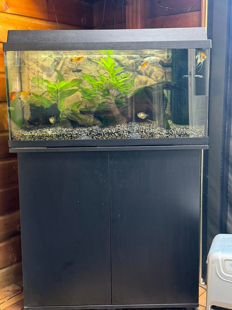 Te koop compleet aquarium Juwel Primo 110, Ophalen, Zo goed als nieuw, Gevuld zoetwateraquarium