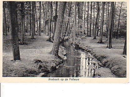 Ansichtkaart	Veluwe	Bosbeek, Verzamelen, Ansichtkaarten | Nederland, Verzenden, 1960 tot 1980, Gelopen, Gelderland